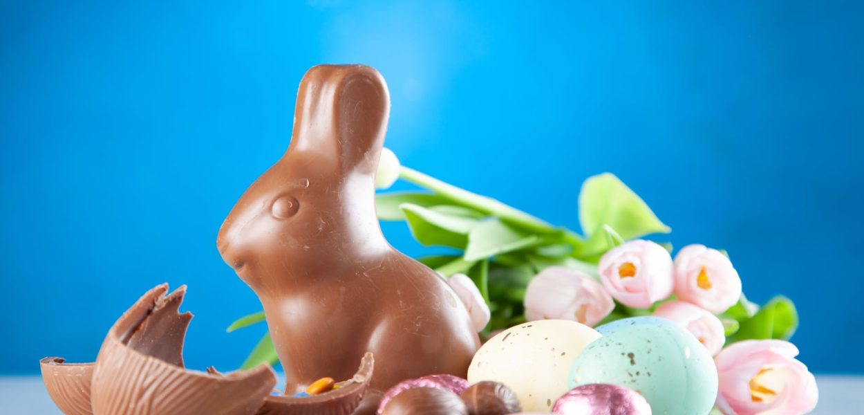 rabbit chocolate